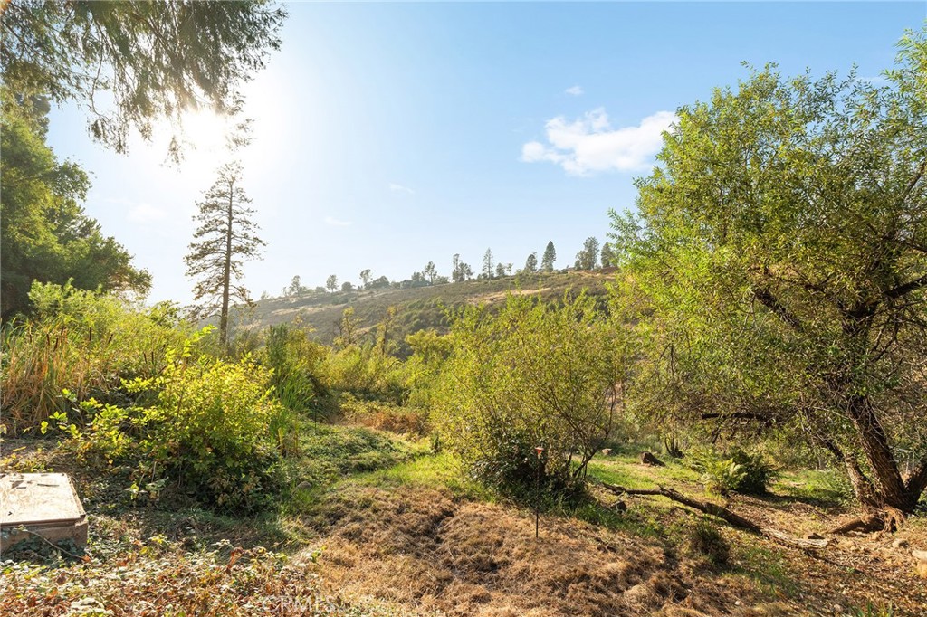 3703 Honey Run Road Property Photo 43
