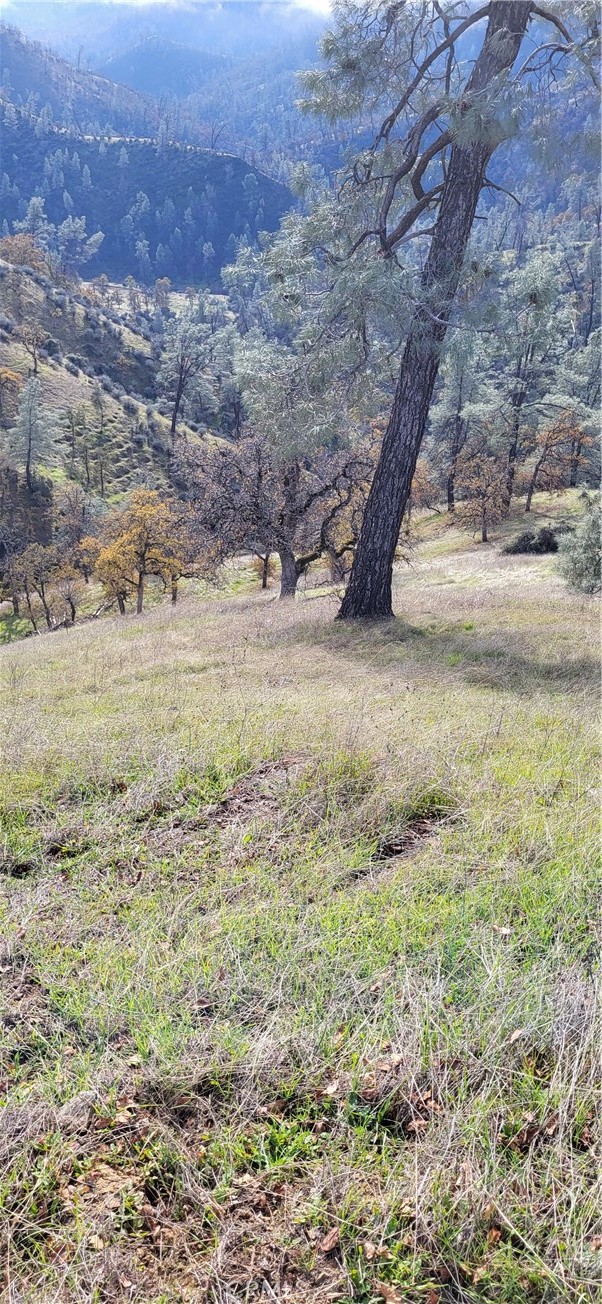 0 Cottonwood Creek Property Photo 1