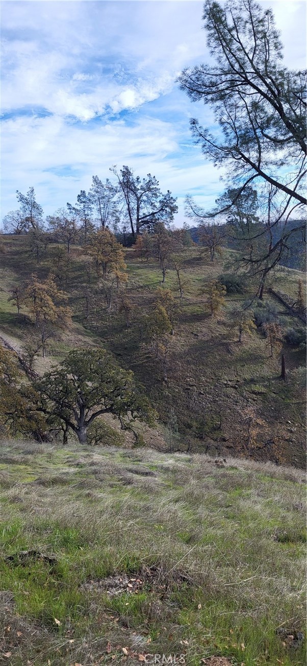 0 Cottonwood Creek Property Photo 3