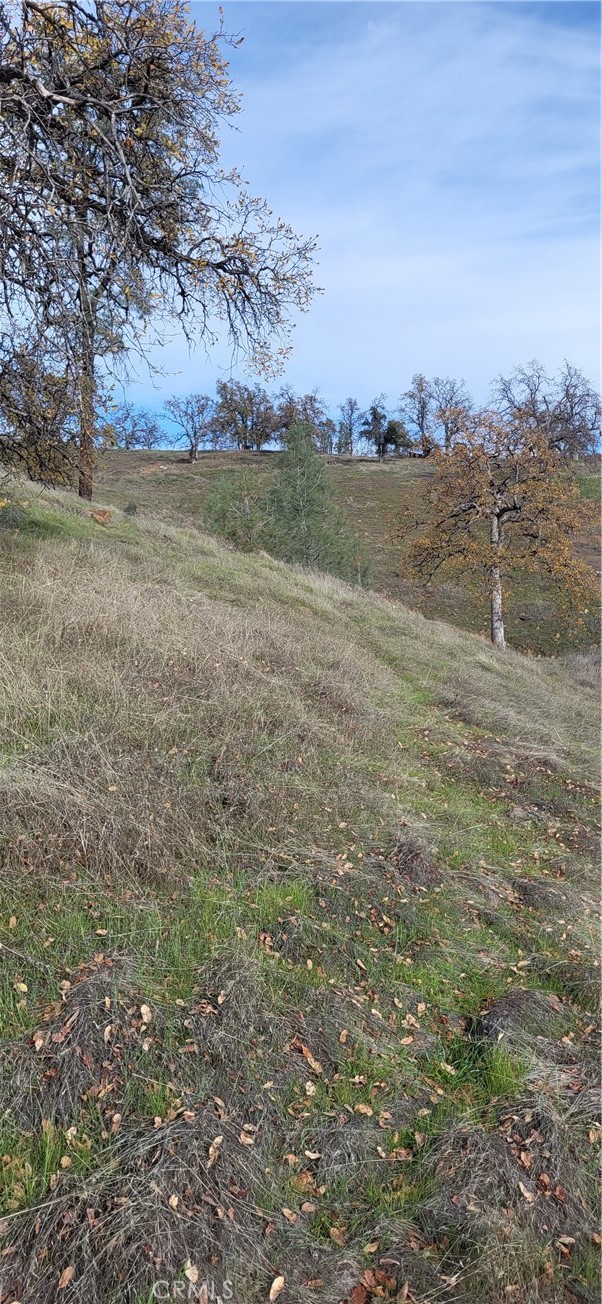 0 Cottonwood Creek Property Photo 4