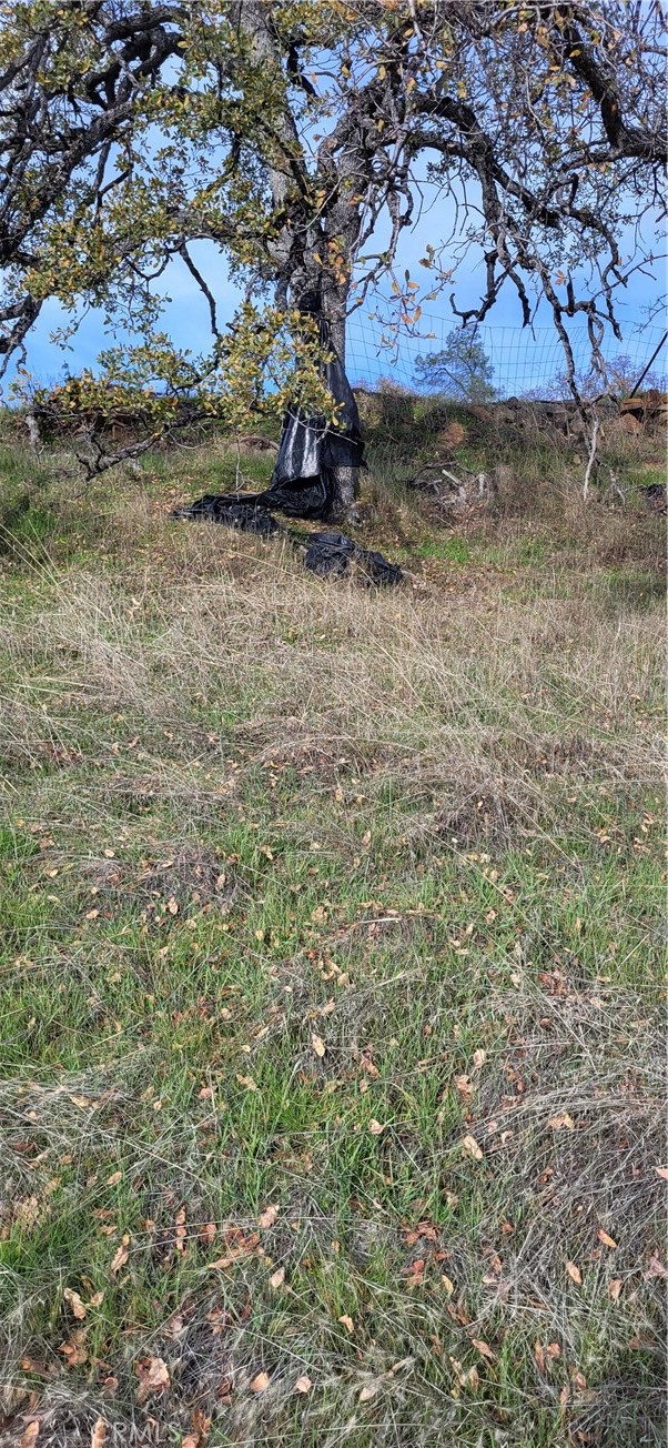 0 Cottonwood Creek Property Photo 5
