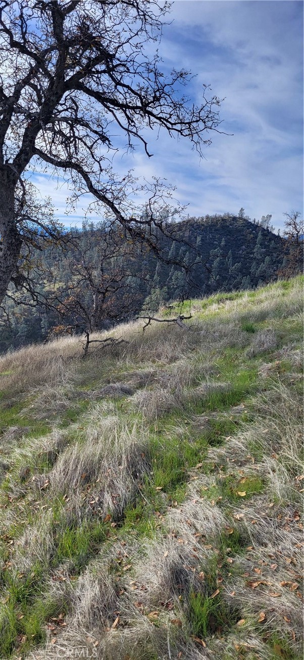 0 Cottonwood Creek Property Photo 6