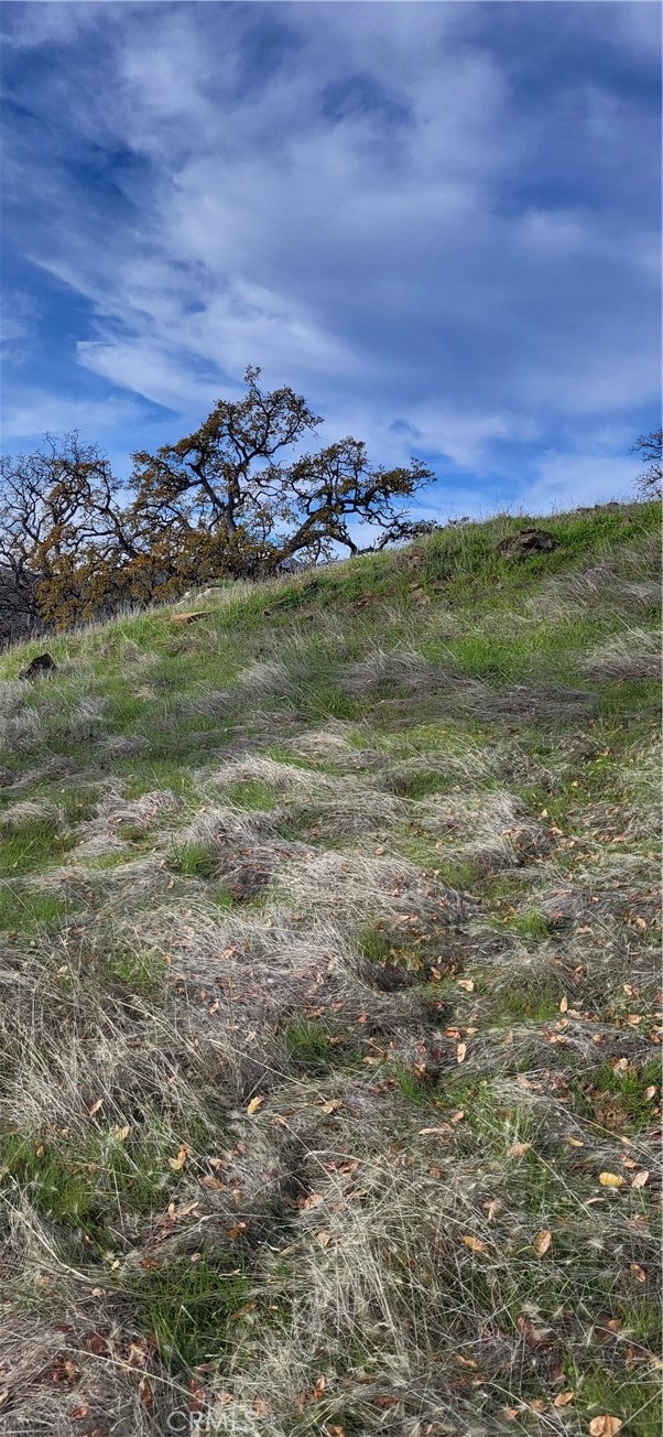 0 Cottonwood Creek Property Photo 7