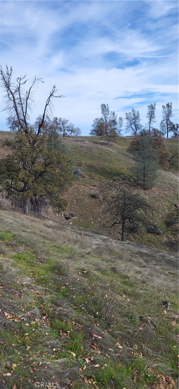 0 Cottonwood Creek Property Photo 8