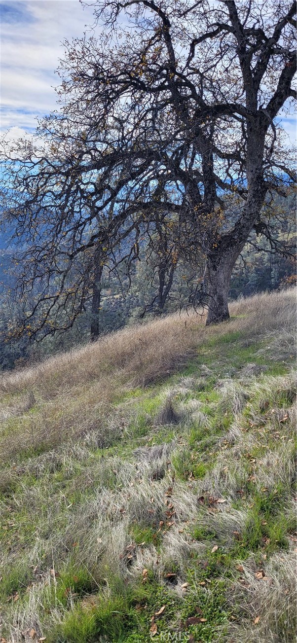 0 Cottonwood Creek Property Photo 9