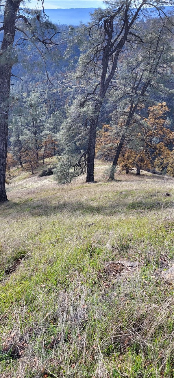 0 Cottonwood Creek Property Photo 10