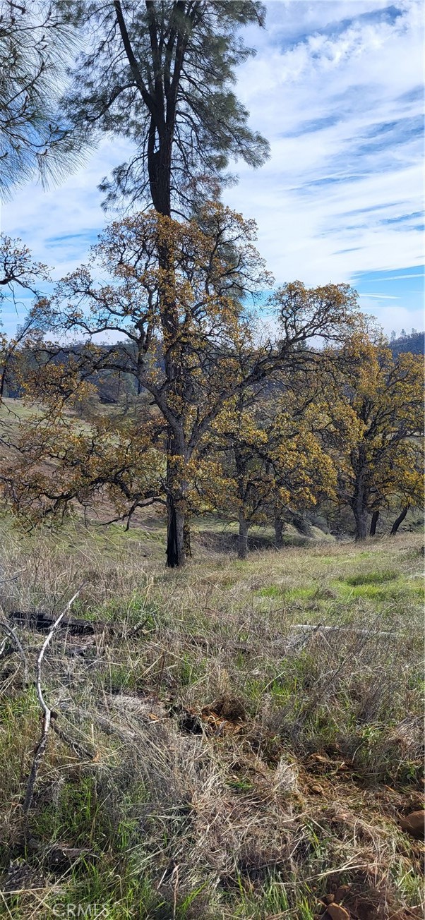 0 Cottonwood Creek Property Photo 11