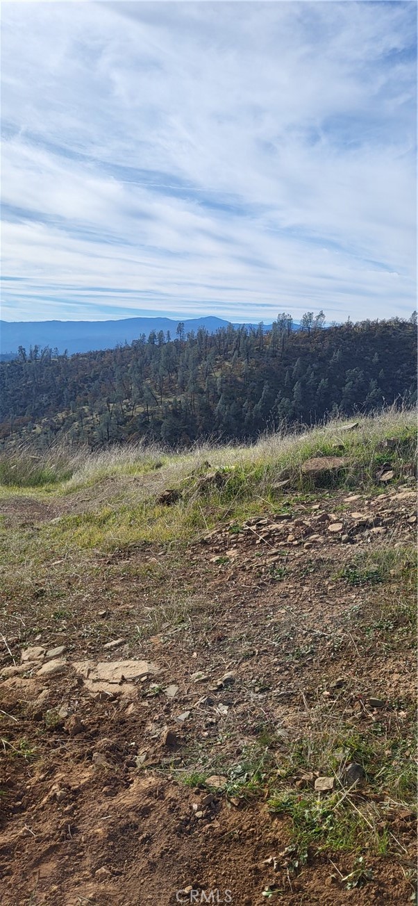 0 Cottonwood Creek Property Photo 12
