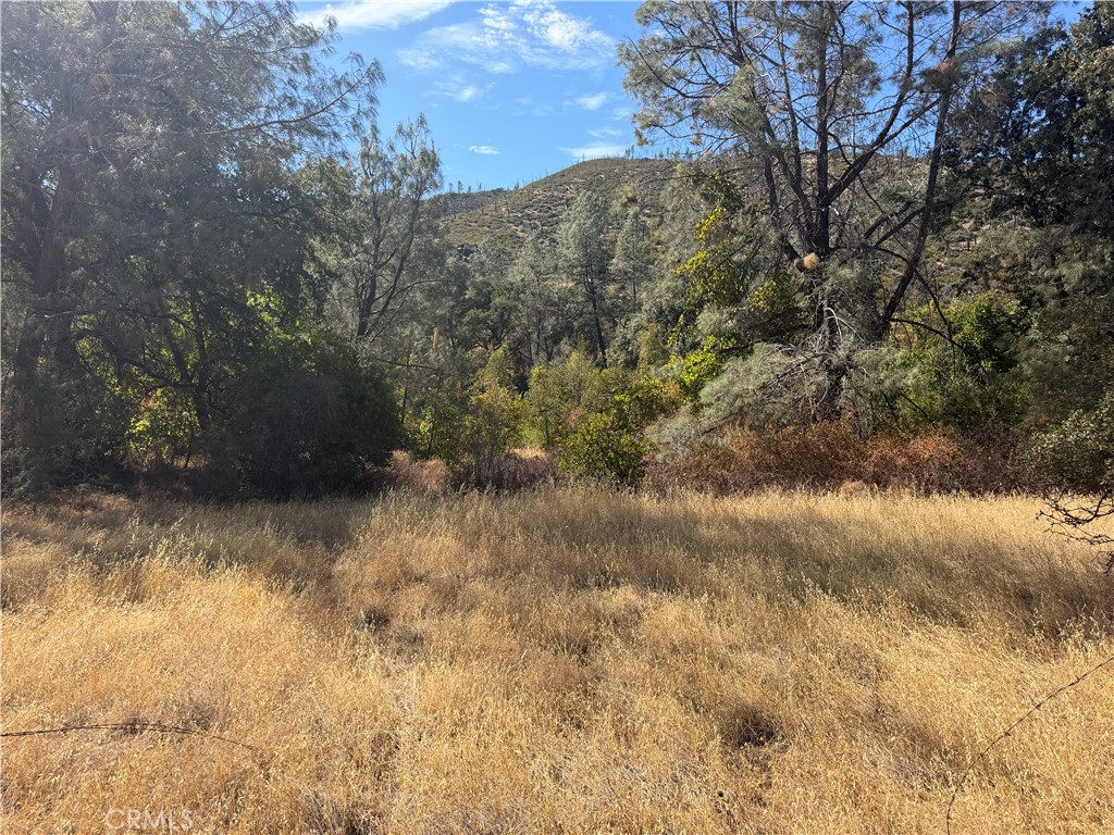 0 Goat Mountain Road Property Photo 1
