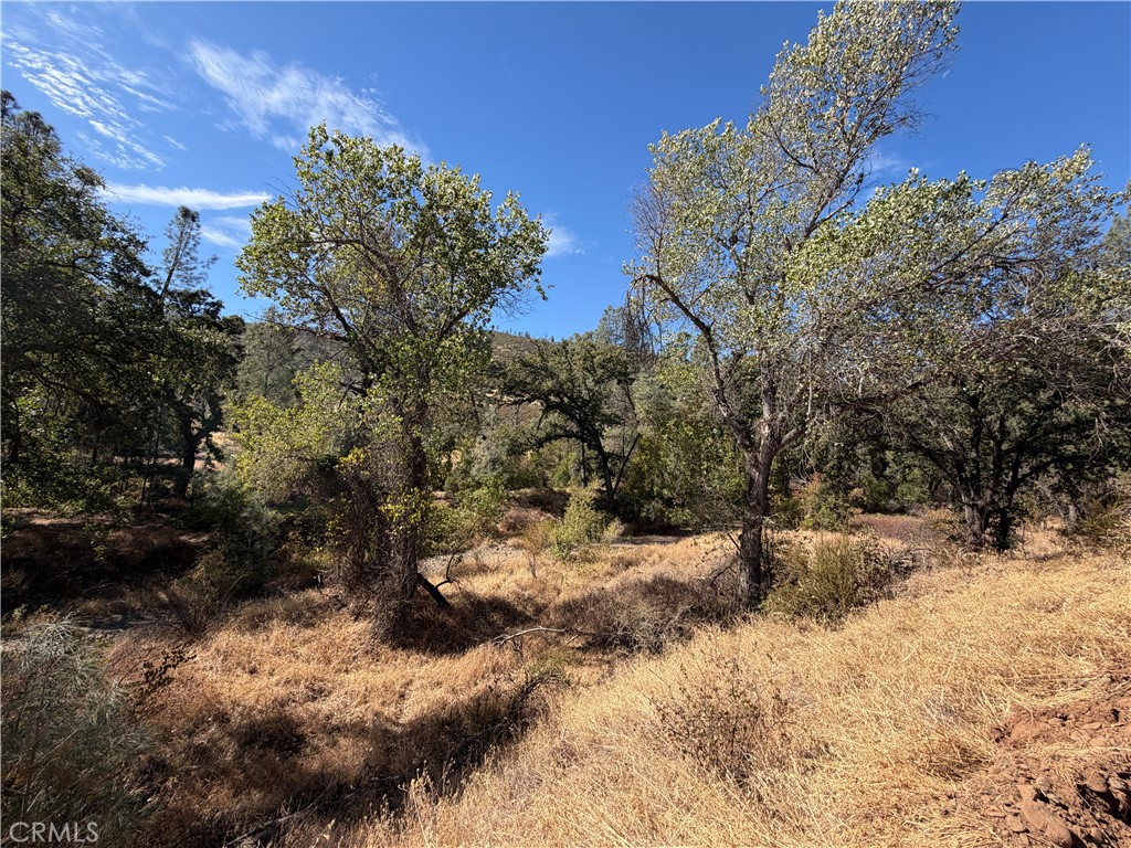 0 Goat Mountain Road Property Photo 2