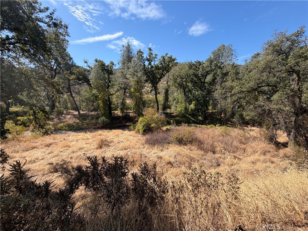 0 Goat Mountain Road Property Photo 3