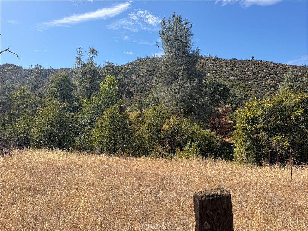0 Goat Mountain Road Property Photo 4