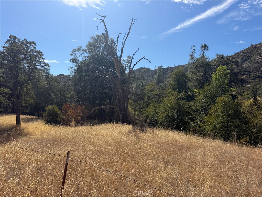 0 Goat Mountain Road Property Photo 5