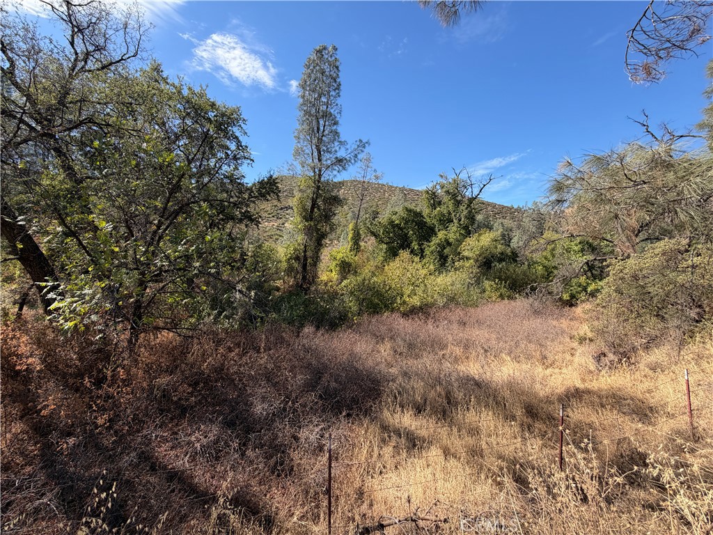 0 Goat Mountain Road Property Photo 6