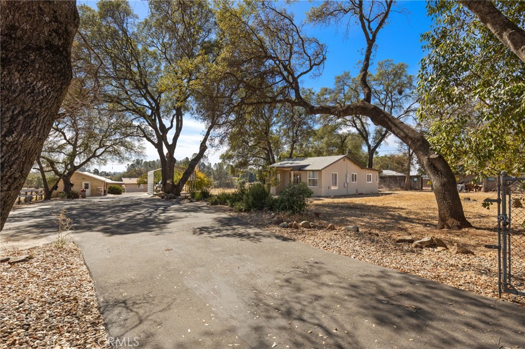 344 Mission Olive Property Photo 24