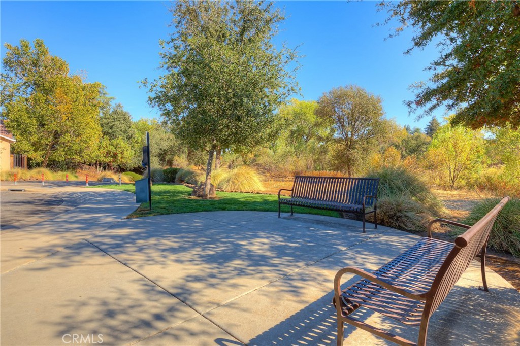 6 Josie Court Property Photo 32