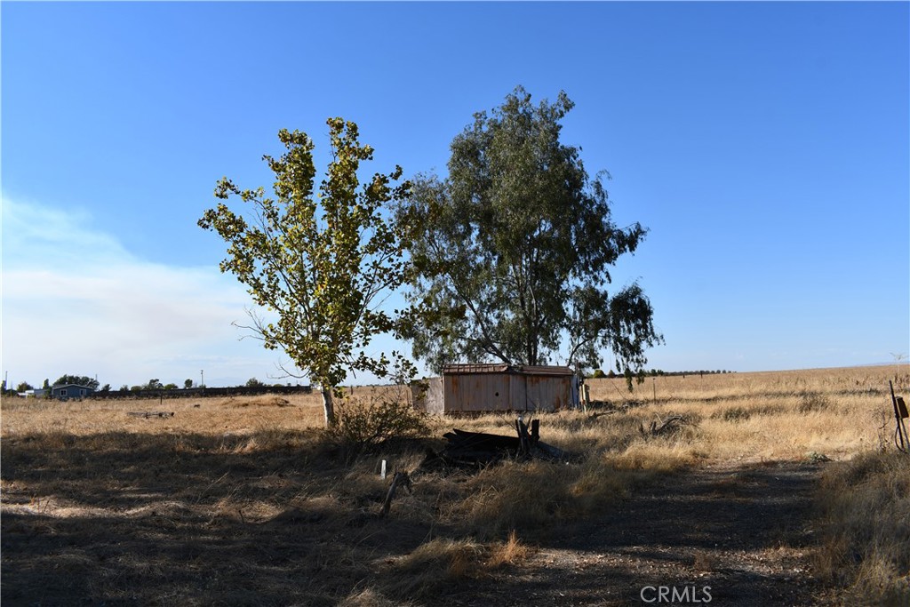 4980 Will T Property Photo 5