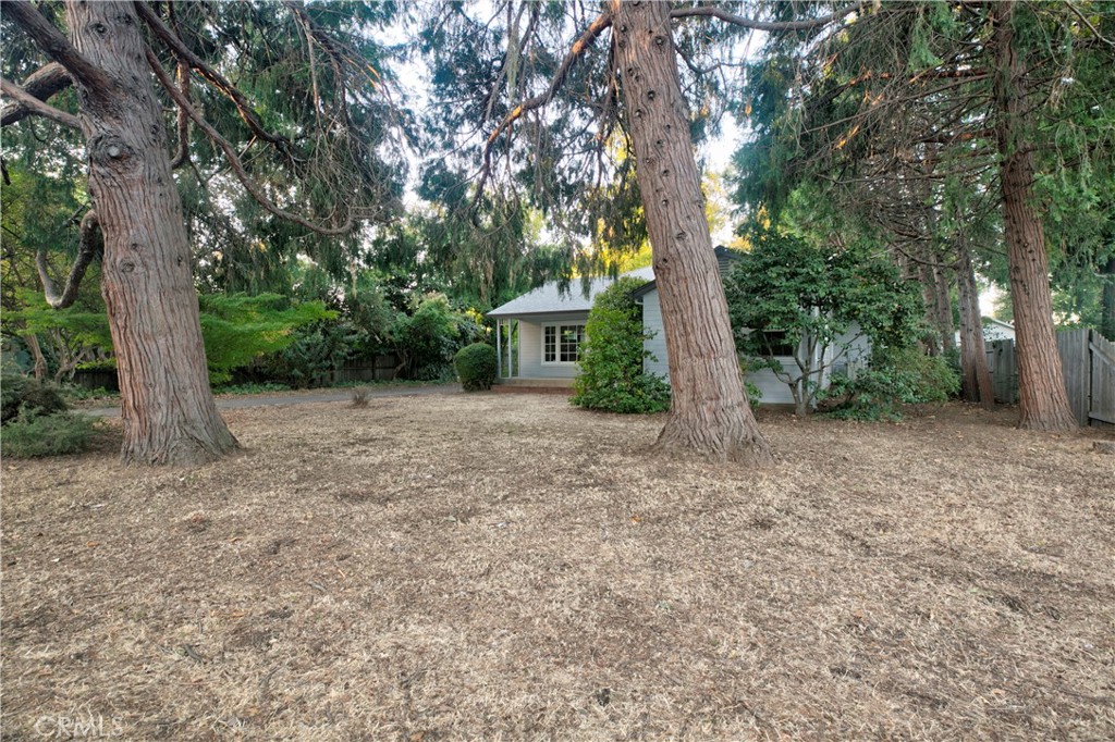 913 Arbutus Property Photo 43