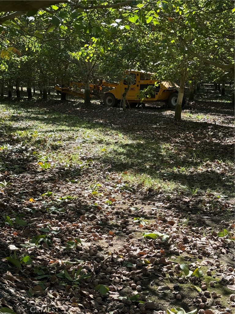 0 Rawson Road Property Photo 2