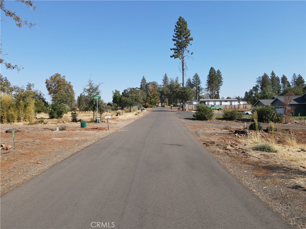 5747 Black Olive Property Photo 1