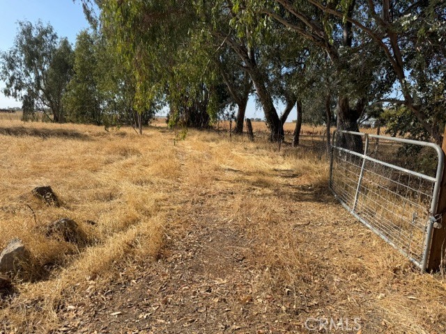 15317 Reese Property Photo 1