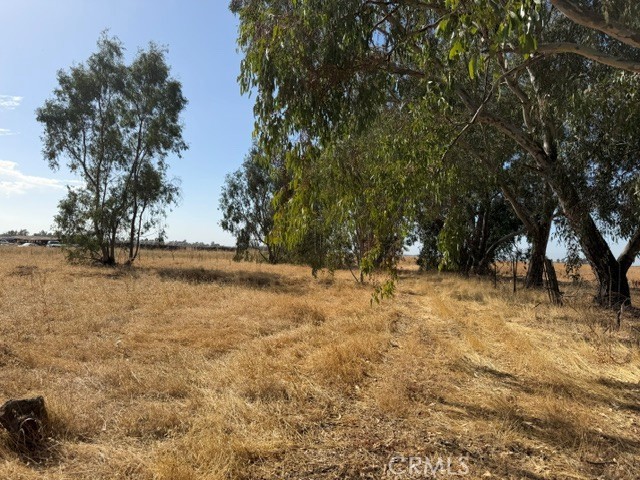 15317 Reese Property Photo 2