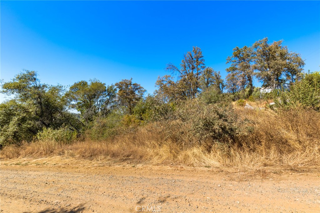 0 Canyon Creek Road Property Photo 6