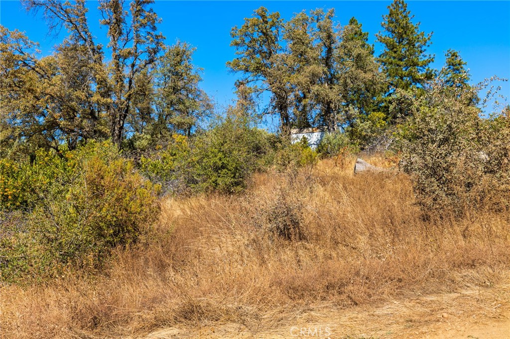 0 Canyon Creek Road Property Photo 7
