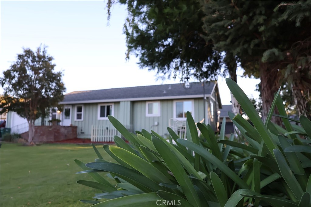 217 Carona Ave. Property Photo 62