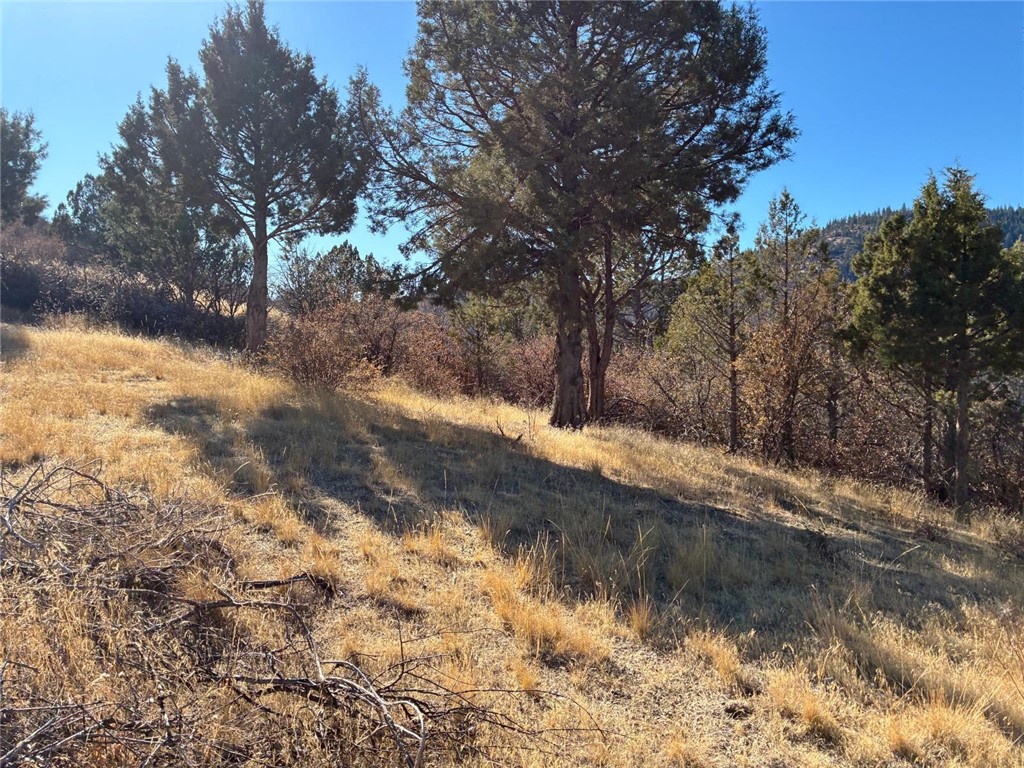 0 Scarface Road Property Photo 33