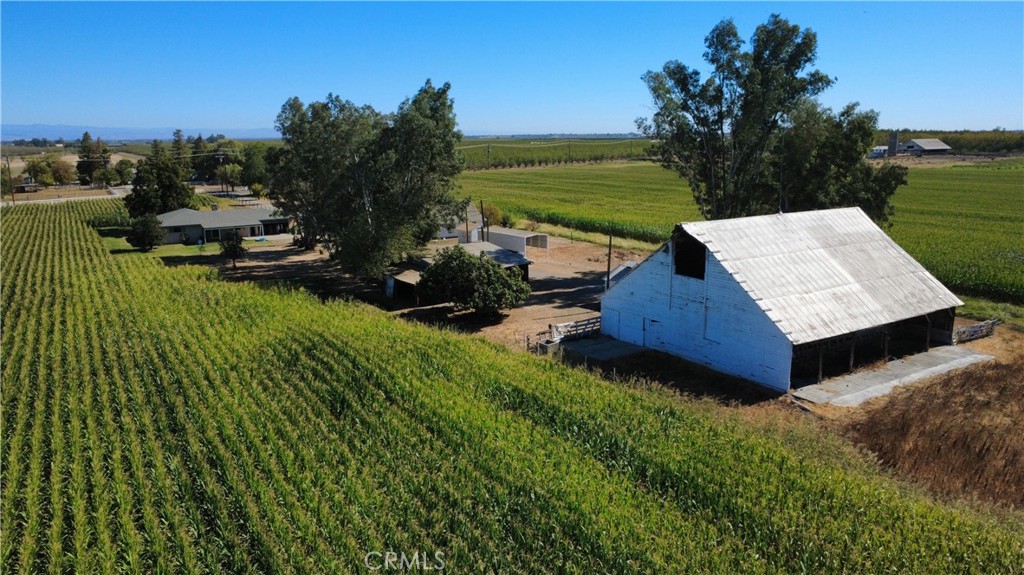 4649 County Rd. 202 Property Photo 6
