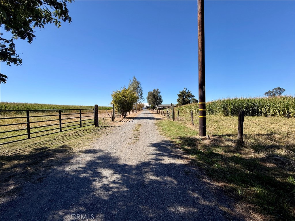 4649 County Rd. 202 Property Photo 51