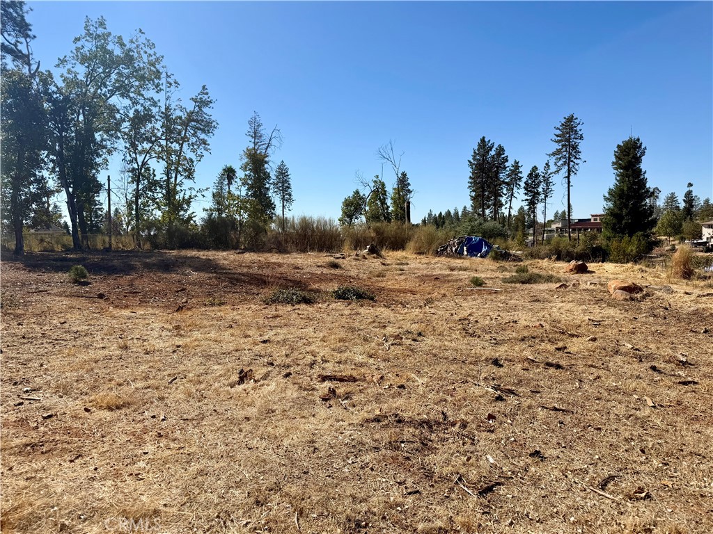 1038 Rainbow Property Photo 1