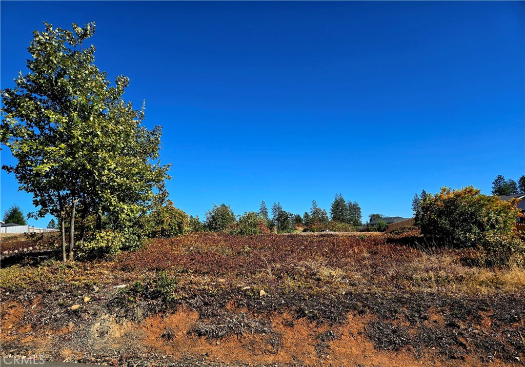 5552 Newland Property Photo 3