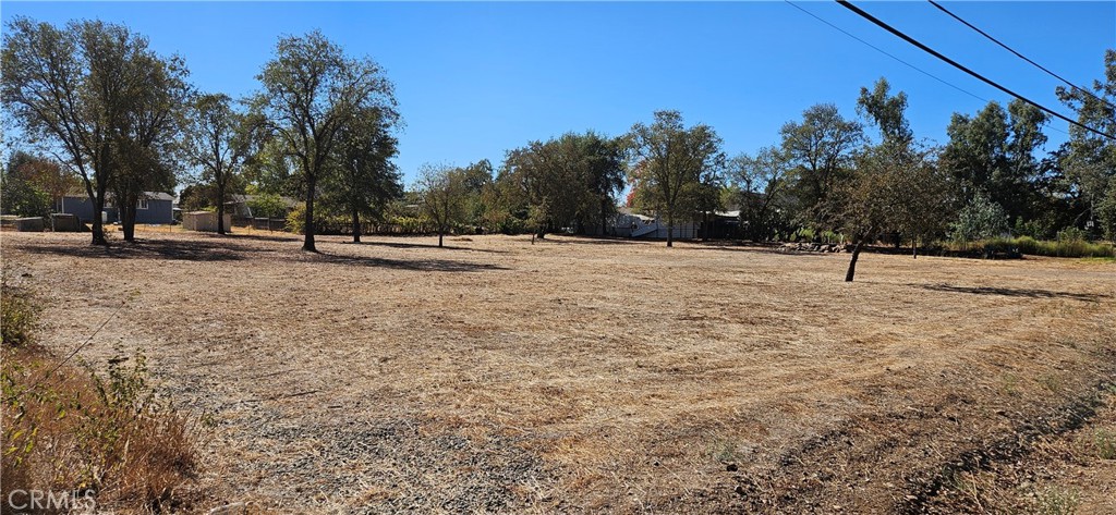 2363 Palermo Property Photo 1