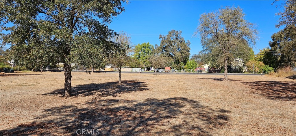 2363 Palermo Property Photo 4