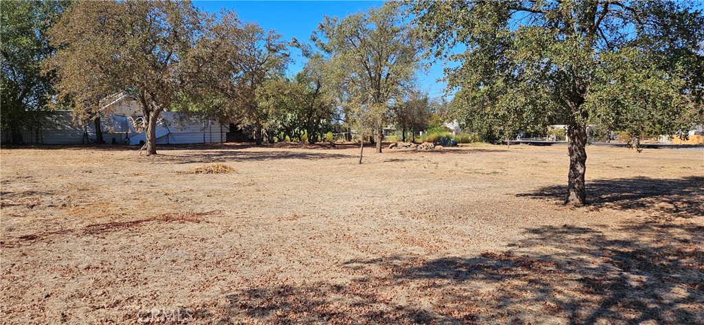 2363 Palermo Property Photo 5