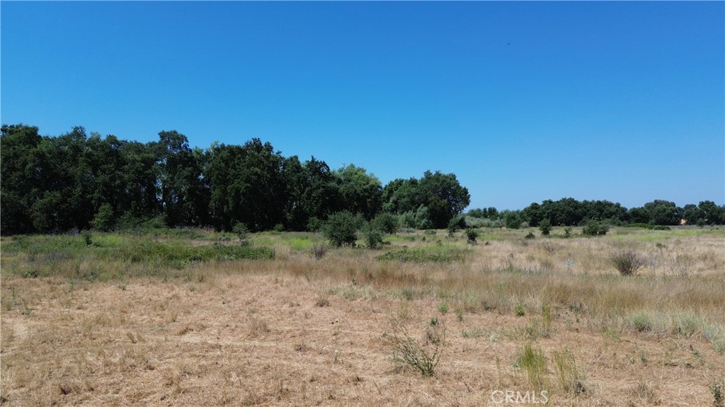 0 Hwy. 70 Property Photo 10