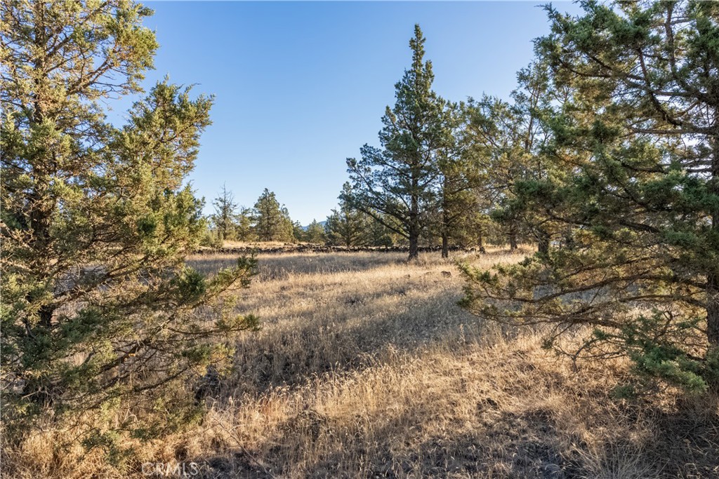 5622 Jade Avenue Property Photo 4