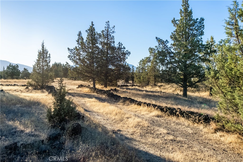 5622 Jade Avenue Property Photo 11