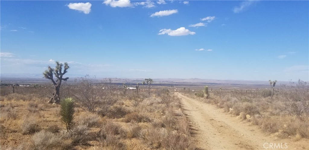0 Vac/175 Ste/vic Ft Tejon Road Property Photo 1