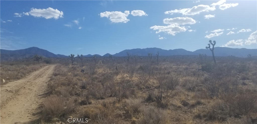 0 Vac/175 Ste/vic Ft Tejon Road Property Photo 2