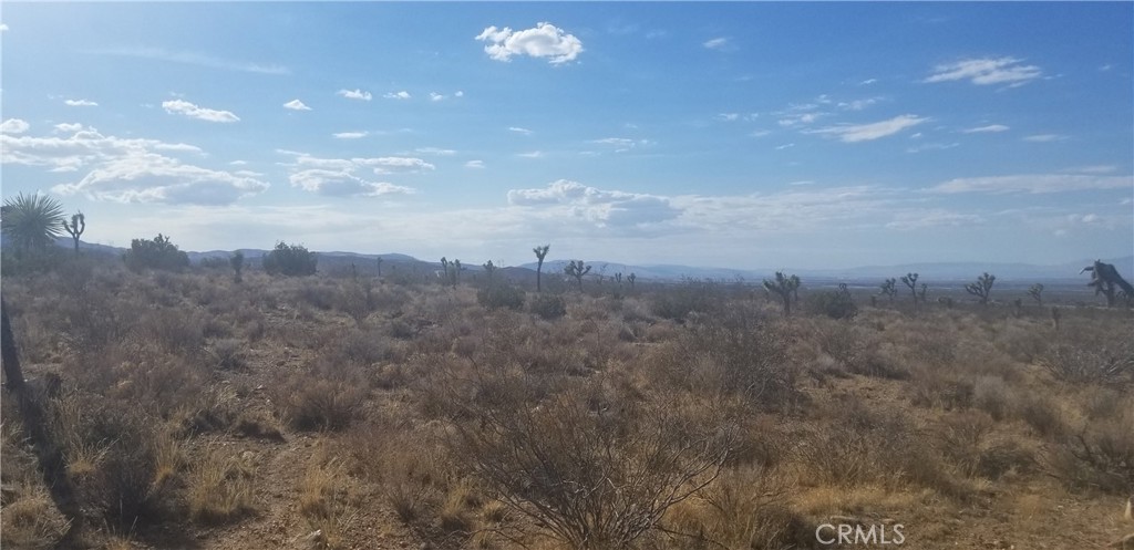 0 Vac/175 Ste/vic Ft Tejon Road Property Photo 3