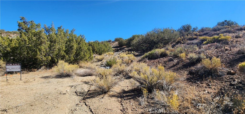 0 Charro Ct. Property Photo 4