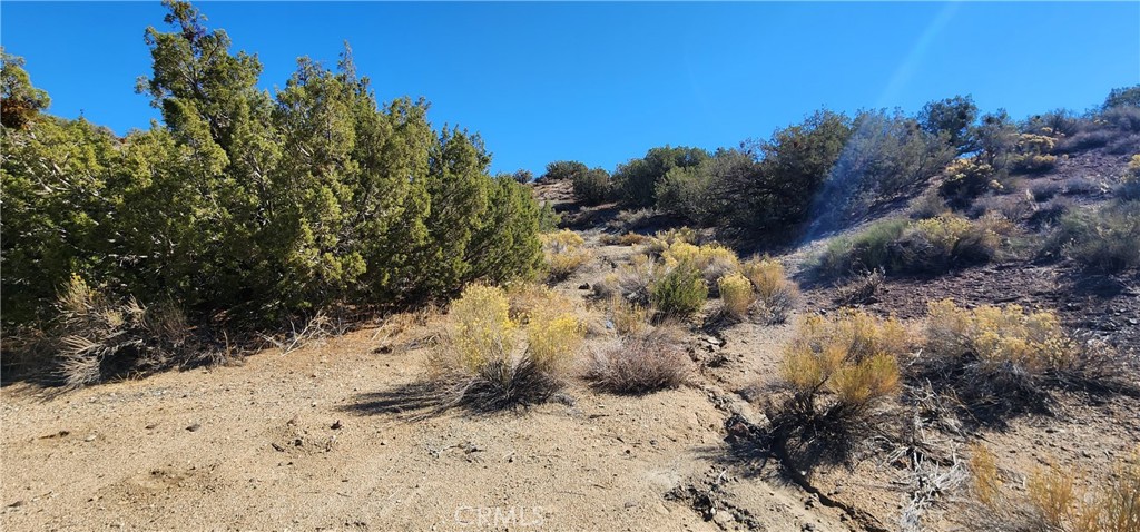 0 Charro Ct. Property Photo 5