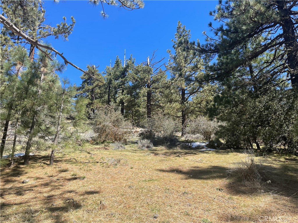0 Matterhorn Property Photo 1