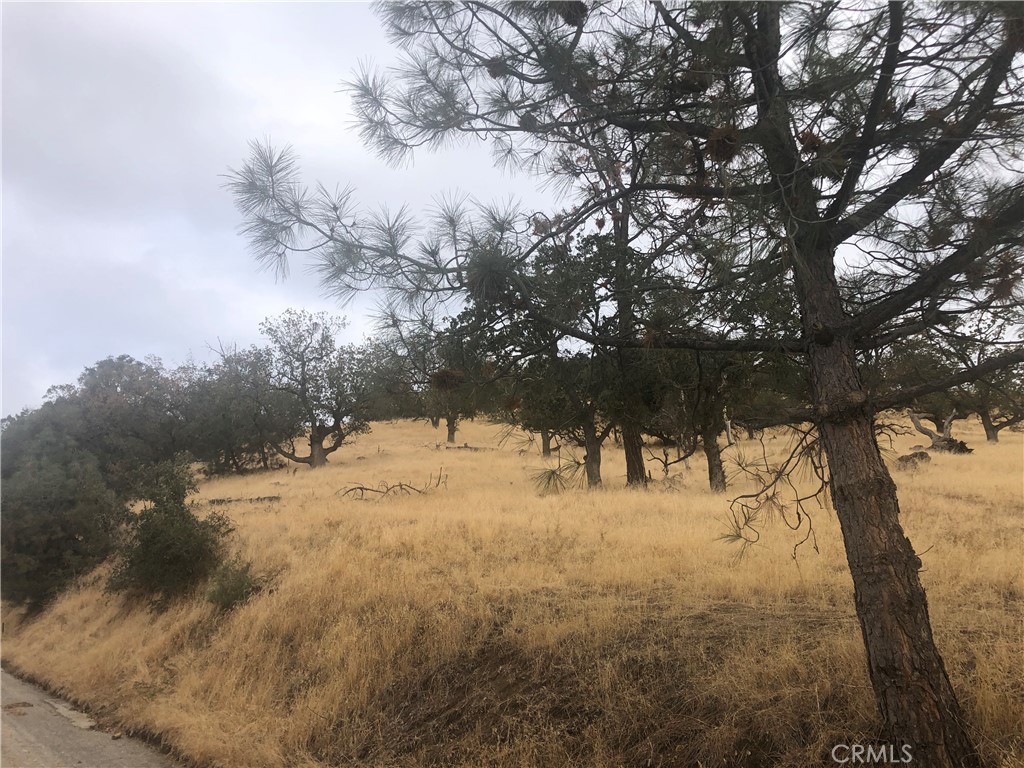 0 Matterhorn Property Photo 2