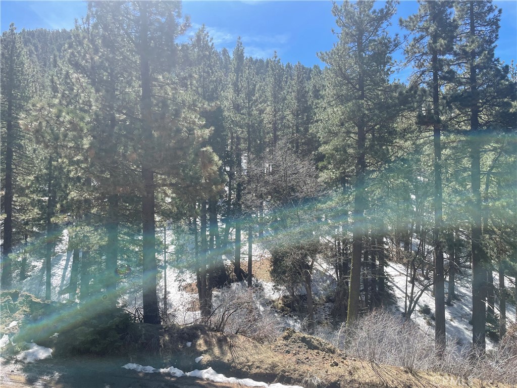 0 Matterhorn Property Photo 4