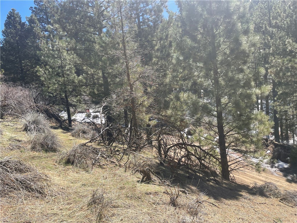 0 Matterhorn Property Photo 5