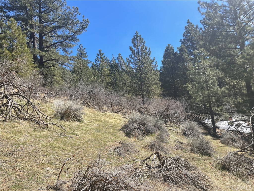 0 Matterhorn Property Photo 6